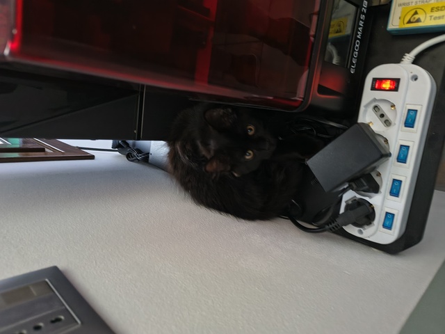 Unpaid lab supervisor